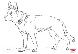 Köpek boyama sayfası, Dog coloring page, , dogs german shepherd dog 