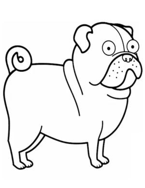 Köpek boyama sayfası, Dog coloring page, Pug Köpek, 