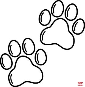 Köpek boyama sayfası, Dog coloring page, , dogs dog paw prints 