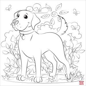 Köpek boyama sayfası, Dog coloring page, , dogs labrador 