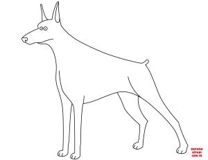 Köpek boyama sayfası, Dog coloring page, , dogs funny doberman 