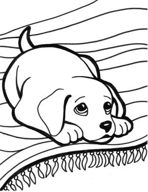 Köpek boyama sayfası, Dog coloring page, Köpek Yatarken, 