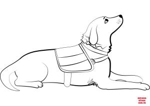 Köpek boyama sayfası, Dog coloring page, , dogs service dog 