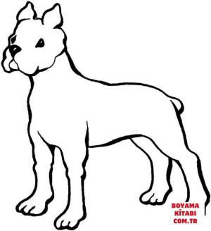 Köpek boyama sayfası, Dog coloring page, , dogs boxer 