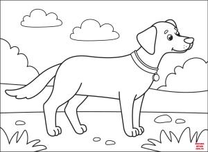 Köpek boyama sayfası, Dog coloring page, , dogs black lab 
