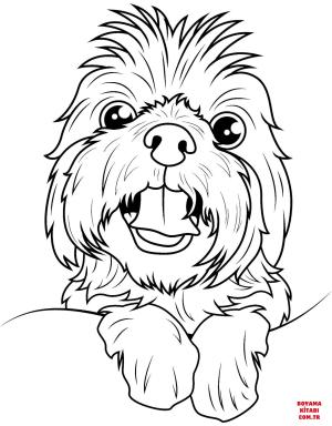 Köpek boyama sayfası, Dog coloring page, , dogs shih tzu 