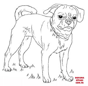 Köpek boyama sayfası, Dog coloring page, , dogs puggle 