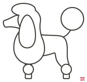 Köpek boyama sayfası, Dog coloring page, , dogs poodle 