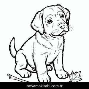 Köpek boyama sayfası – sevimli karakter, sanatsal çalışma
