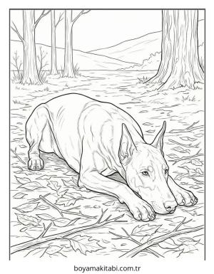 Köpek Boyama