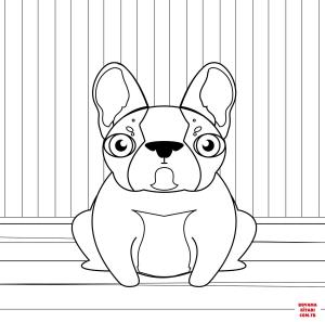 Köpek boyama sayfası, Dog coloring page, , dogs bulldog 