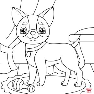 Köpek boyama sayfası, Dog coloring page, , dogs cute chihuahua 