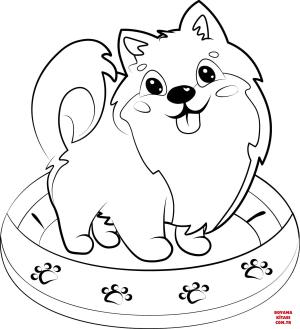 Köpek boyama sayfası, Dog coloring page, , dogs pomeranian puppy 