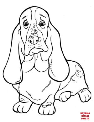 Köpek boyama sayfası, Dog coloring page, , dogs basset hound 