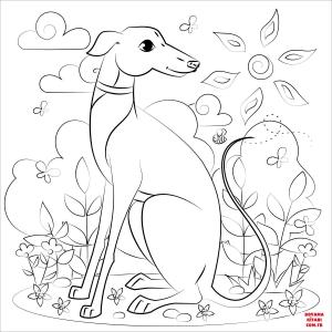 Köpek boyama sayfası, Dog coloring page, , dogs greyhound 