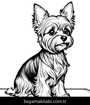 Köpek boyama sayfası, Dog coloring page, , 41)