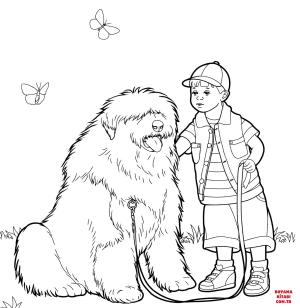 Köpek boyama sayfası, Dog coloring page, , dogs old english sheepdog bobtail 