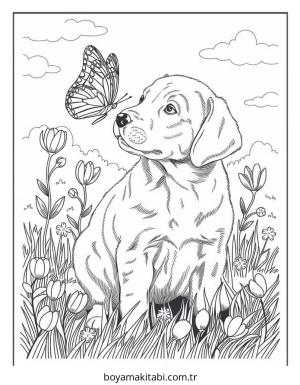 Köpek Boyama