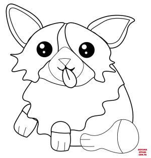 Köpek boyama sayfası, Dog coloring page, , dogs corgi 