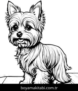 Köpek boyama sayfası, Dog coloring page, , 27)