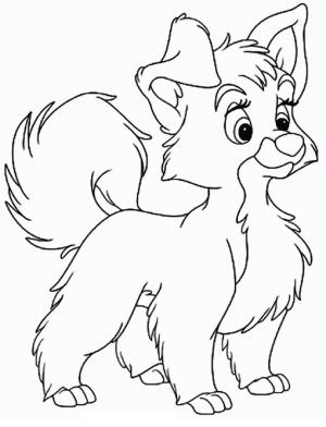 Köpek boyama sayfası, Dog coloring page, Çok Güzel Köpek, 