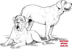 Köpek boyama sayfası, Dog coloring page, , dogs labrador and mastiff 