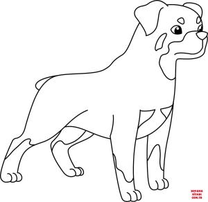 Köpek boyama sayfası, Dog coloring page, , dogs rottweiler 