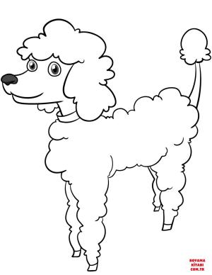 Köpek boyama sayfası, Dog coloring page, , dogs cartoon poodle 