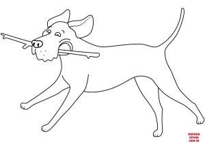 Köpek boyama sayfası, Dog coloring page, , dogs funny labrador retriever running with stick 