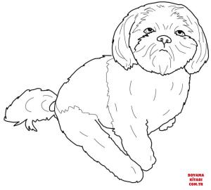 Köpek boyama sayfası, Dog coloring page, , dogs shih tzu 