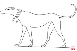 Köpek boyama sayfası, Dog coloring page, , dogs ancient egyptian dog 