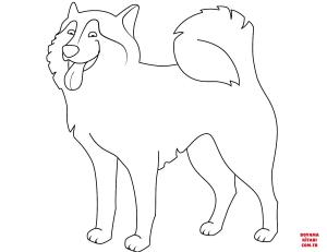 Köpek boyama sayfası, Dog coloring page, , dogs funny husky 