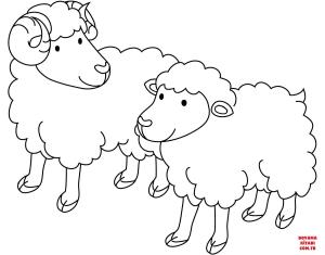 Koyun boyama sayfası, Sheep coloring page, , sheep sheep ram and ewe 