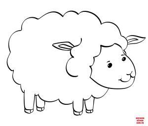 Koyun boyama sayfası, Sheep coloring page, , sheep cute sheep 