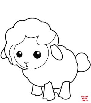 Koyun boyama sayfası, Sheep coloring page, , sheep cute little lamb 