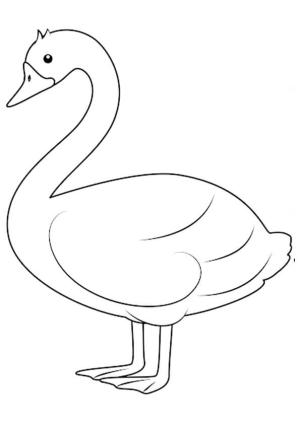 Kuğu boyama sayfası,  coloring page, Iyi Kuğu, 