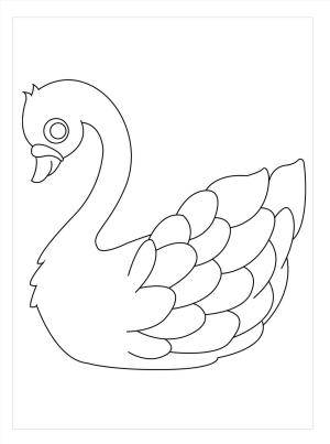 Kuğu boyama sayfası,  coloring page, Çift Kuğular Yetişkin Içindir, 