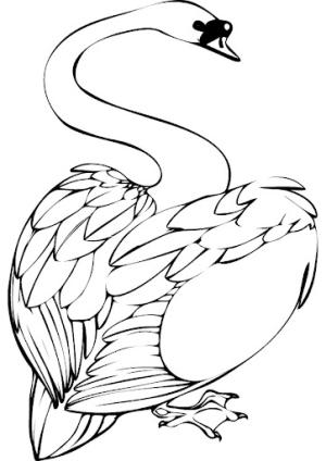 Kuğu boyama sayfası,  coloring page, Büyük Kuğu, 