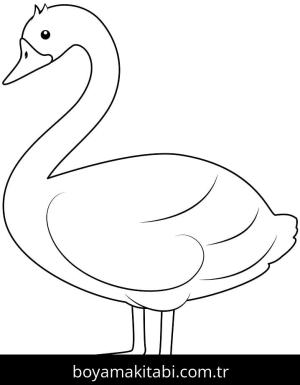 Kuğu boyama sayfası – basit çizim, kolay boyama