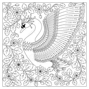 Kuğu boyama sayfası,  coloring page, Yetişkinler İçin Çiçeklerde Kuğu, 