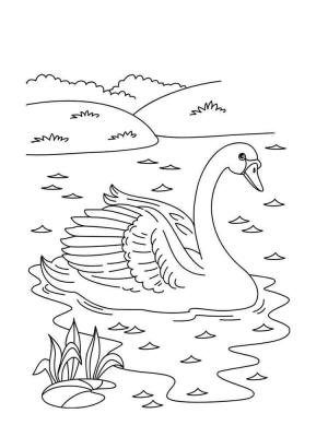 Kuğu boyama sayfası,  coloring page, Hoş Kuğu, 