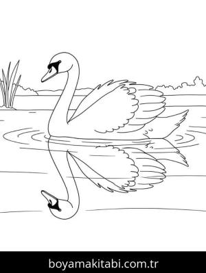 Kuğu boyama sayfası – eğitici aktivite, yaratıcılık