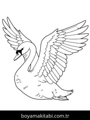 Kuğu boyama sayfası – çocuk aktivitesi, PDF indir
