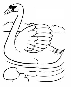 Kuğu boyama sayfası,  coloring page, Harika Kuğu, 