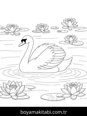 Kuğu boyama sayfası – renkli çizimler, okul öncesi