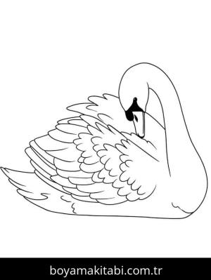 Kuğu boyama sayfası – çocuklar için, çizgi film temalı