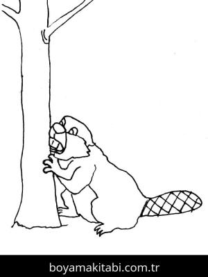 Kunduz boyama sayfası – yaratıcılık, eğlenceli etkinlik