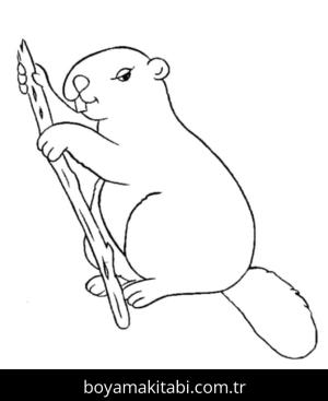 Kunduz boyama sayfası – boyama etkinliği, çocuk aktivitesi