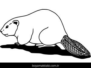 Kunduz boyama sayfası – okul öncesi, evde etkinlik