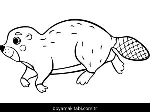 Kunduz boyama sayfası – evde etkinlik, ücretsiz yazdır